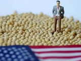 中美贸易战，美国大豆堆积如山，中国为什么确实需要大豆？